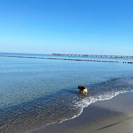 5 Sterne Strandflair Im Strandhaus Wustrow (Fischland)